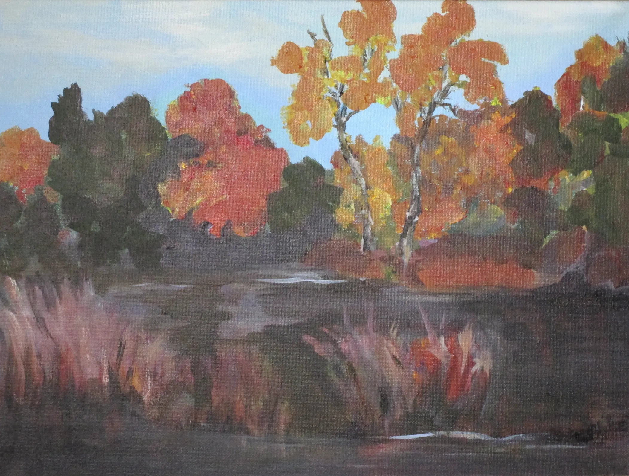 Where the Crawdads Sing